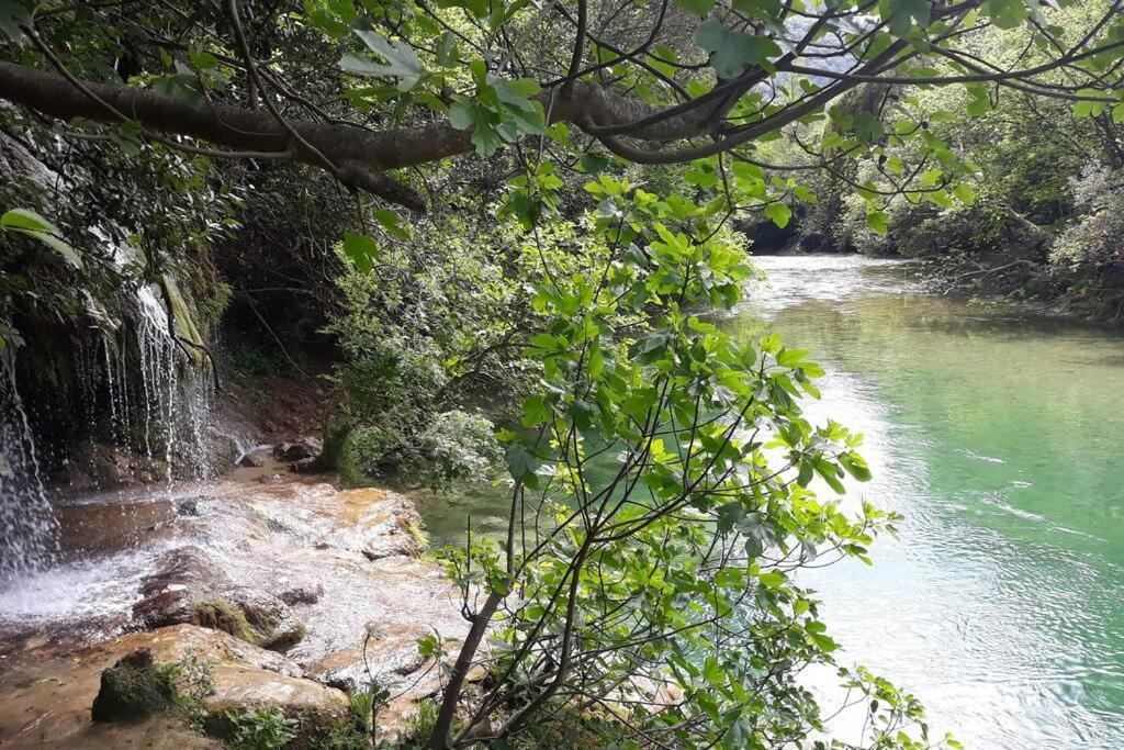 Tiloft Lägenhet Antibes Exteriör bild